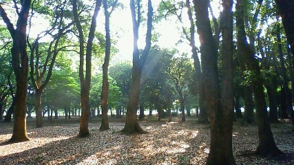 200905200635000.jpg