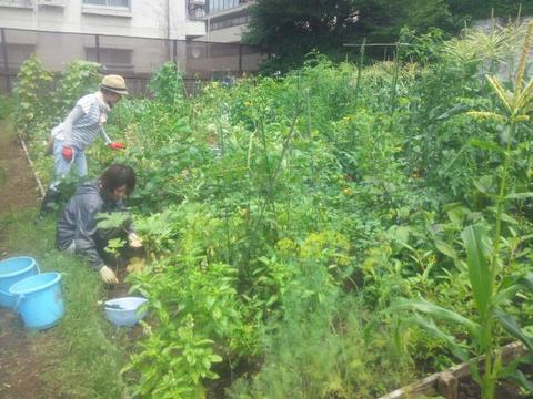20140706_121738.jpg