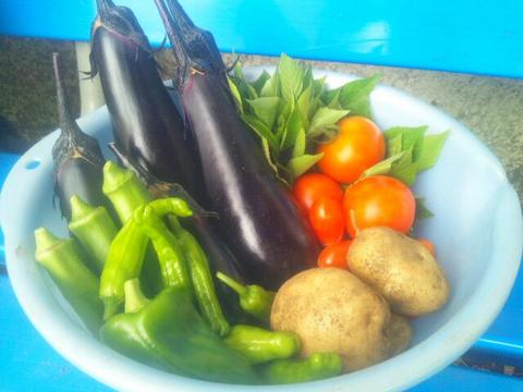20140706_130409.jpg