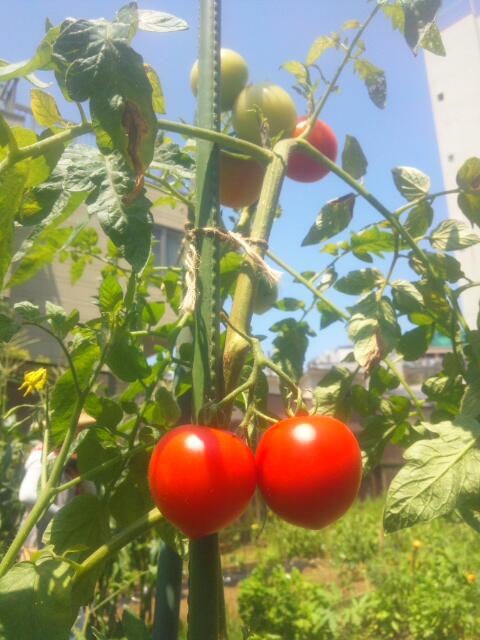 20140727_124333.jpg