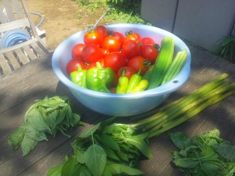 20140727_131749.jpg