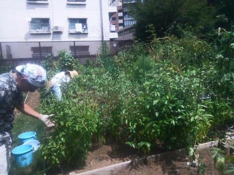 20140824_123247.jpg