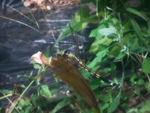 20140824_125813.jpg