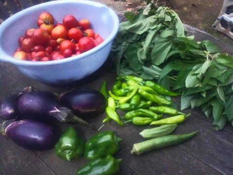 20140824_133143.jpg