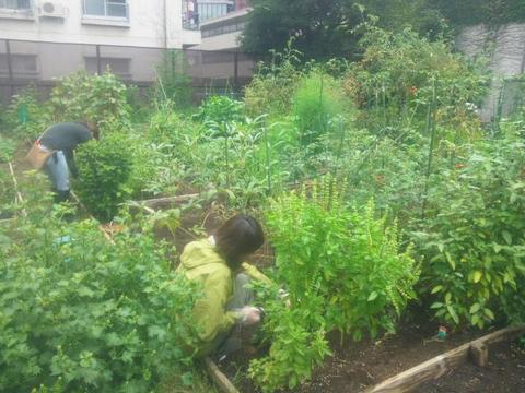 20140831_125334.jpg