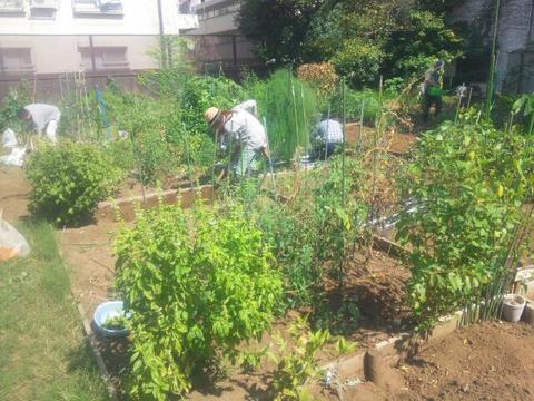 20140921_131419.jpg