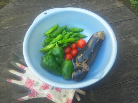 20140921_134115.jpg