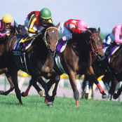 おとなの社会見学！09〜東京競馬場に行こう！〜