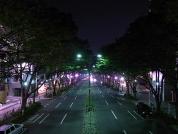 みんなで見つける表参道のひみつ ～夜更かし散歩編～
