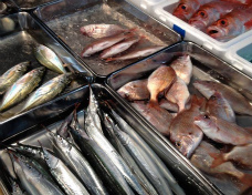 味覚鍛錬遠足　築地市場で冒険！
～魚のプロに教わるおいしい魚の選び方、食べ方～