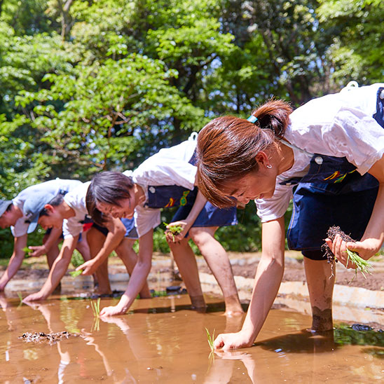 【ガイダンス授業（※18歳〜35歳対象）】
稲作を体験！ 明治神宮の森を学ぼう